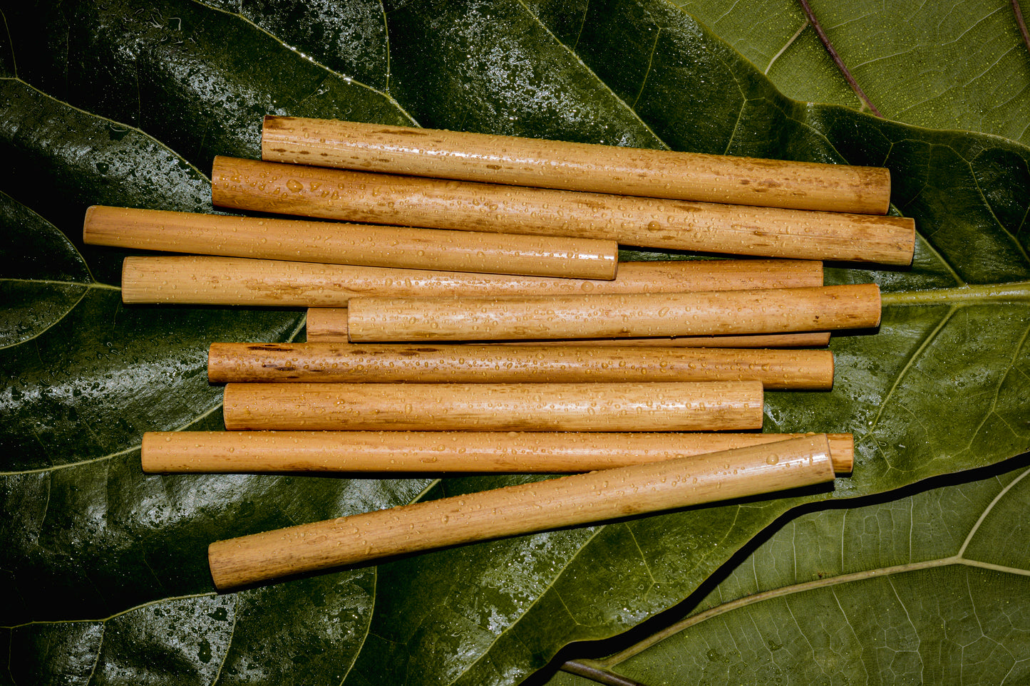 Bamboo Straws – Floreo Apparel