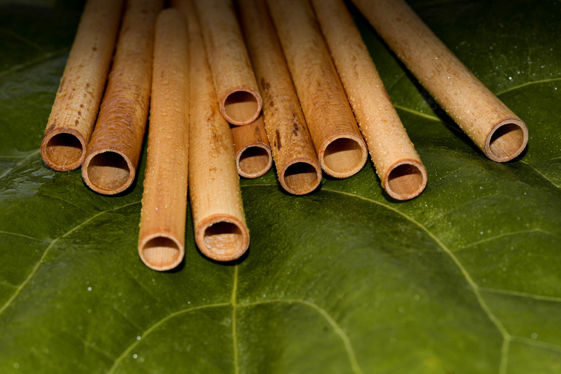 Dantesmile Bamboo Straw - Piccantino Online Shop International