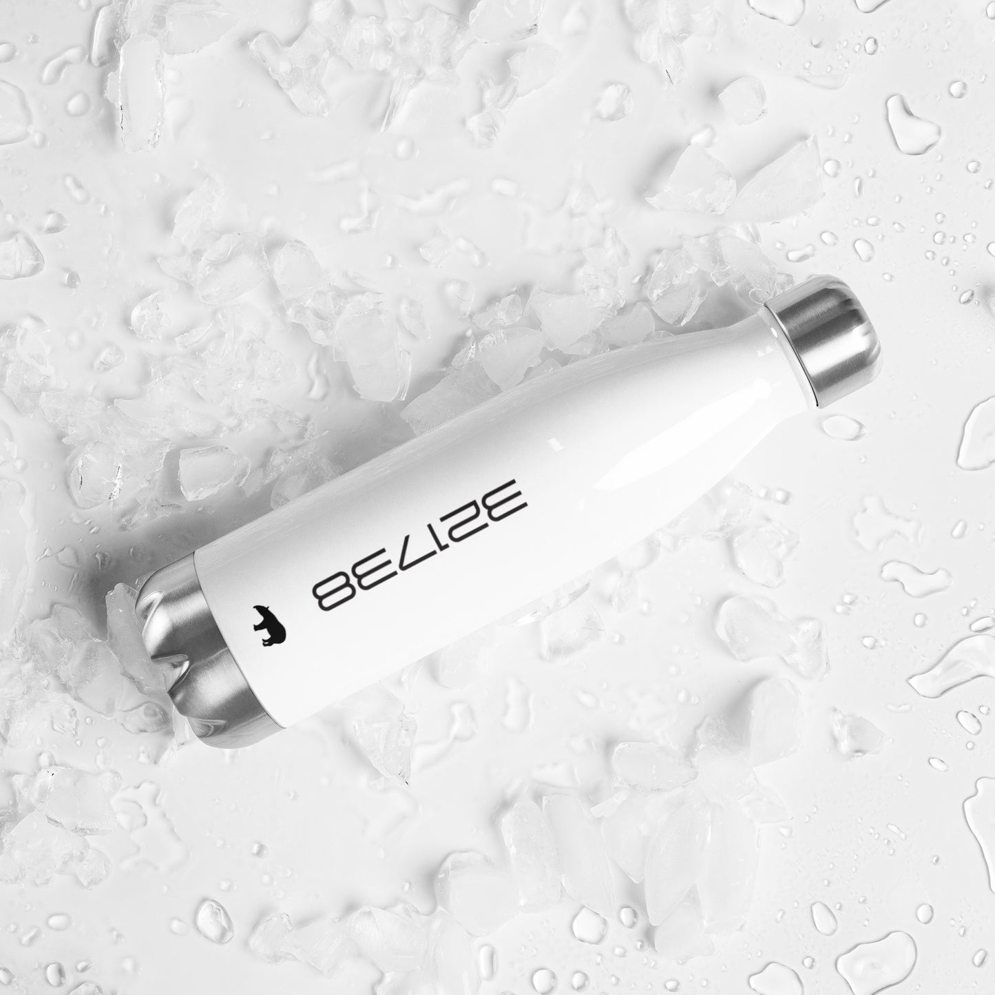 Belize Stainless Steel Water Bottle